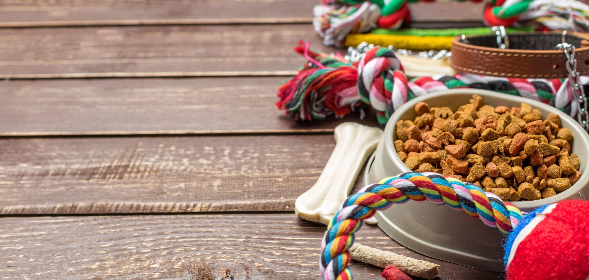 Dorking Pet Shop Pet Shop